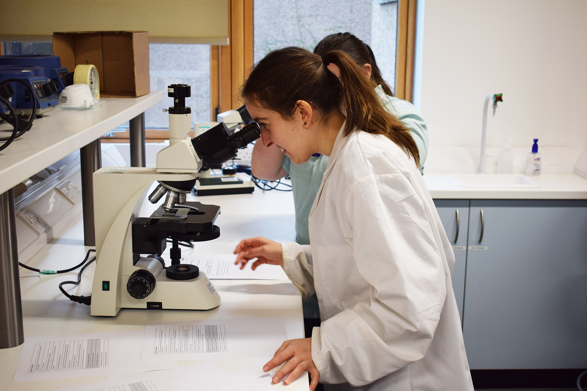 Veterinary students in the lab