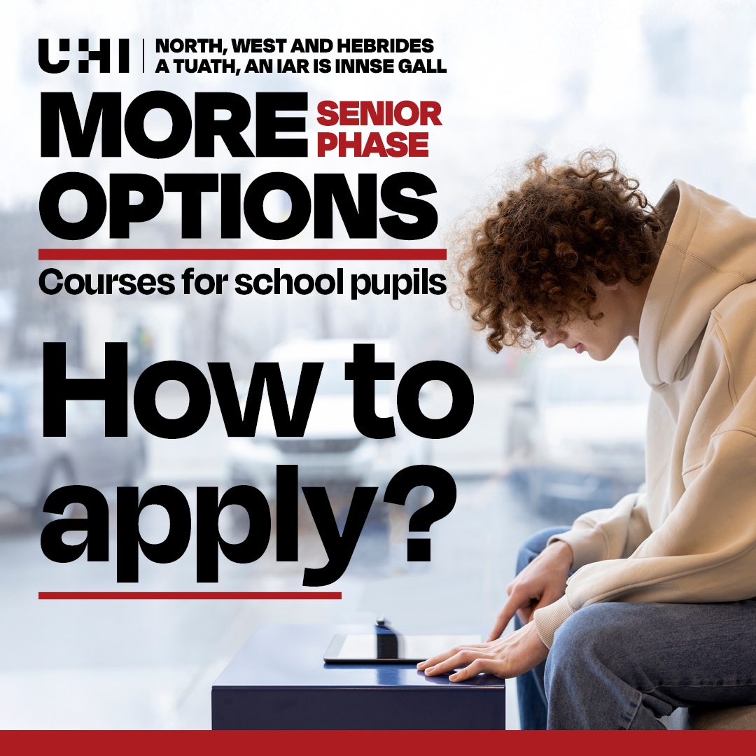 More Options Senior Phase How To Apply with student studying on computer More Options Senior Phase How To Apply with student studying on computer