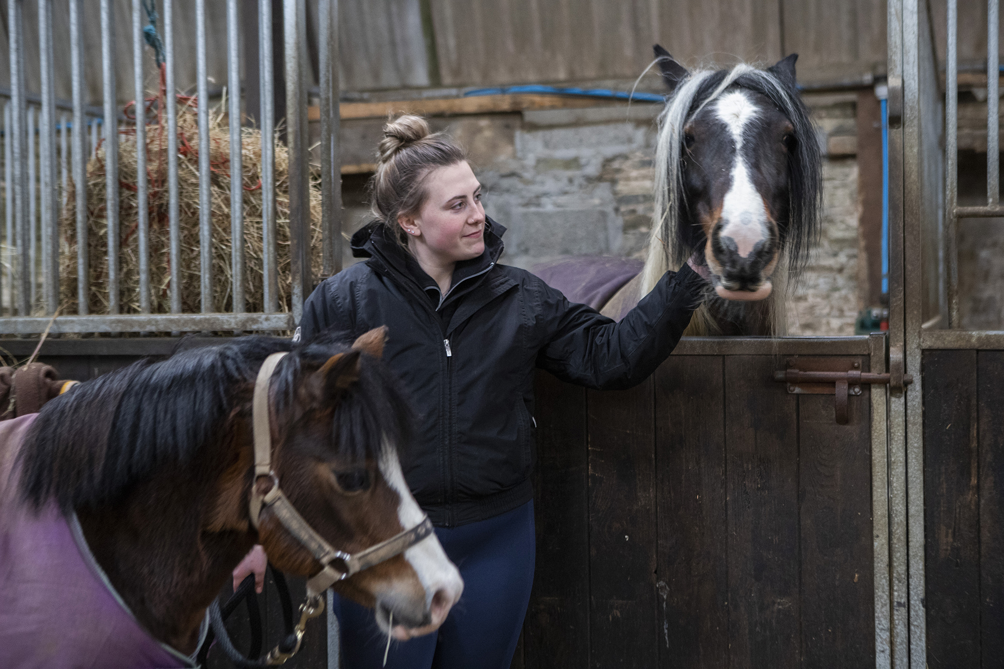 student looking after horses student looking after horses