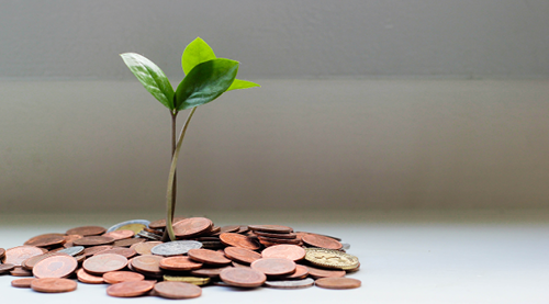 Image of pile of coins with a green plant growing out the middle