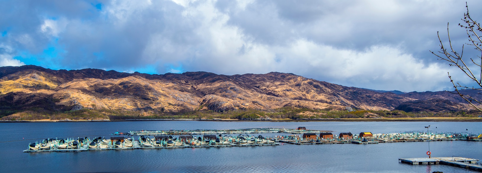 Marine Harvest Fish Farm